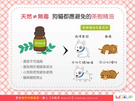 茶樹精油 寵物|【天然≠無毒】茶樹精油應避免使用在狗狗貓貓身上。